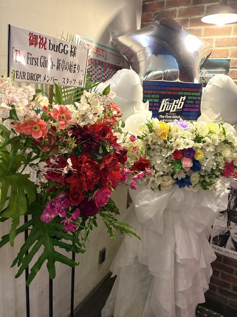 そらちゃんとくうちゃんの写真 buGGさんデビューおめでとうございます！そらちゃん再始動ということで