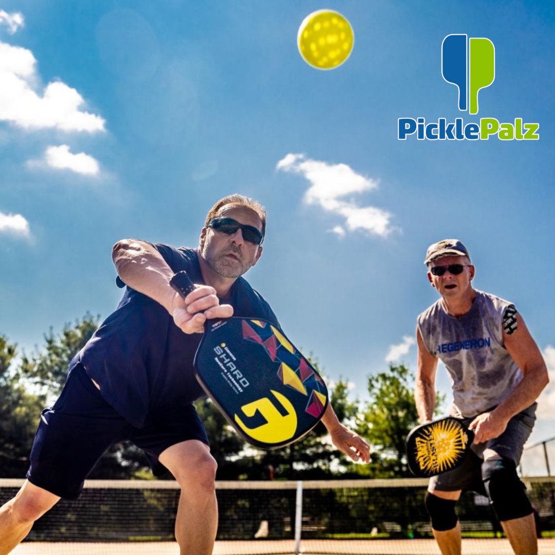 PicklePalz App tweet media