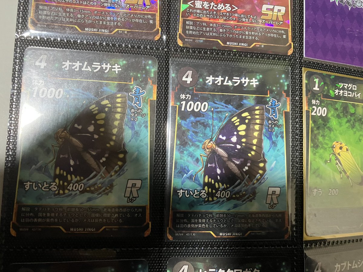 今更だけどオオムラサキの初期って名前の枠がないだけじゃなくて左下の