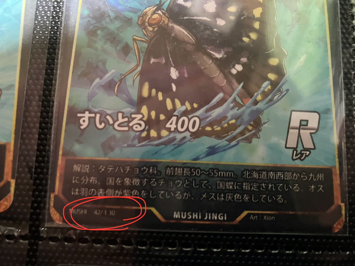 今更だけどオオムラサキの初期って名前の枠がないだけじゃなくて左下の