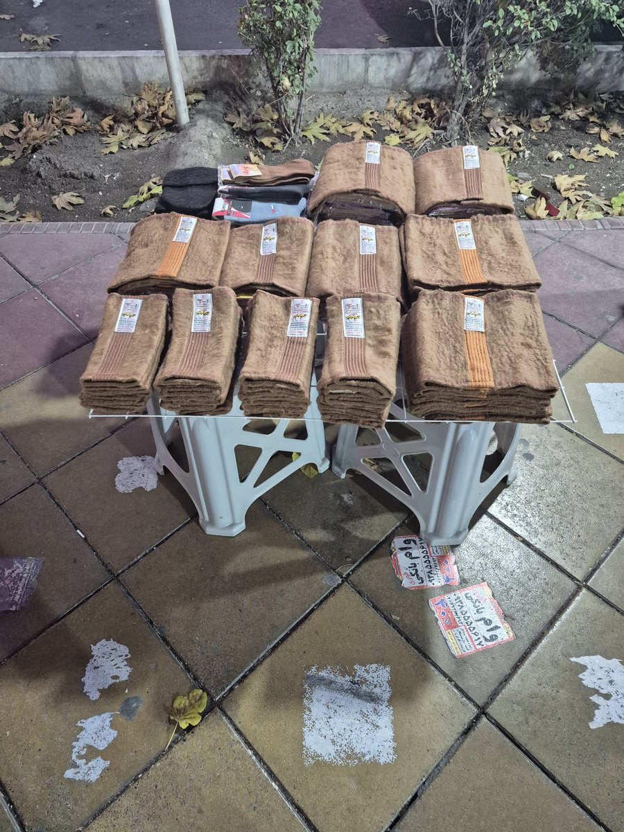 محمدرضا tweet media