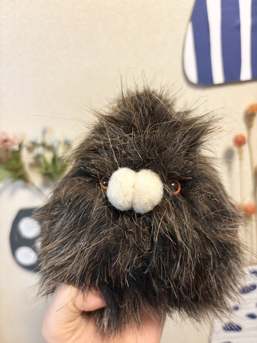 まめこ (@Mamekonokomame) / Posts / X