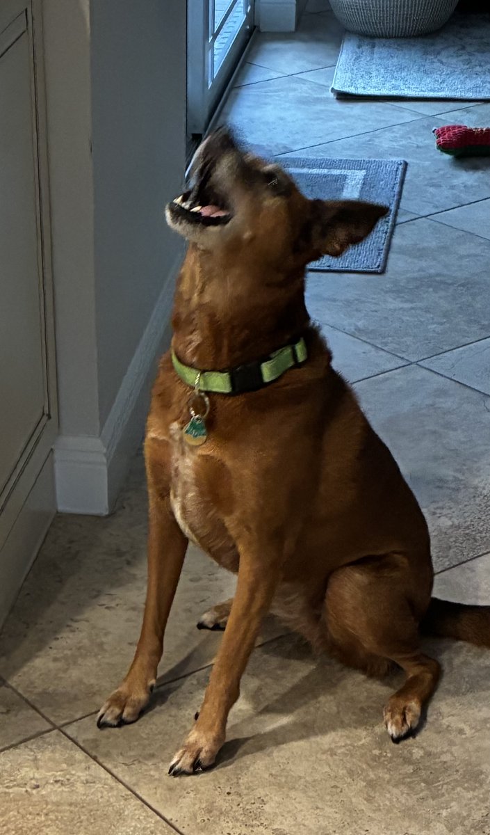 Fail Forward, Move Forward - mailchi.mp/7e37dd9c9b75/f… Quick Leadership Wisdom for you...