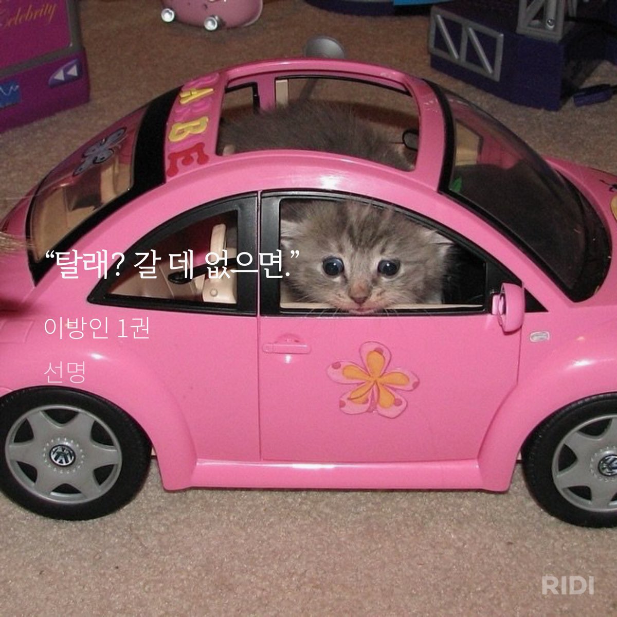 가자
뜨시고치킨나오는11층오피스텔로