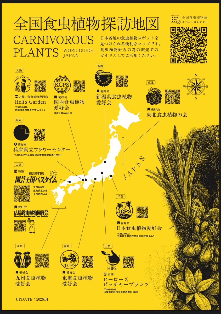 helisgarden's tweet photo. 昨日から配布しているチラシ😘
食虫植物友の会、友の会+plus、全国食虫植物暦、全国食虫植物探訪図のお知らせです💛
探訪地図は全国食虫植物に会える場所の情報です🗺️
暦は皆様からのご提案が形になりました📅
各団体が同じカレンダーに登録します！
食虫植物店のイベント情報全部載せていきます💛 https://t.co/jvm20IoykQ