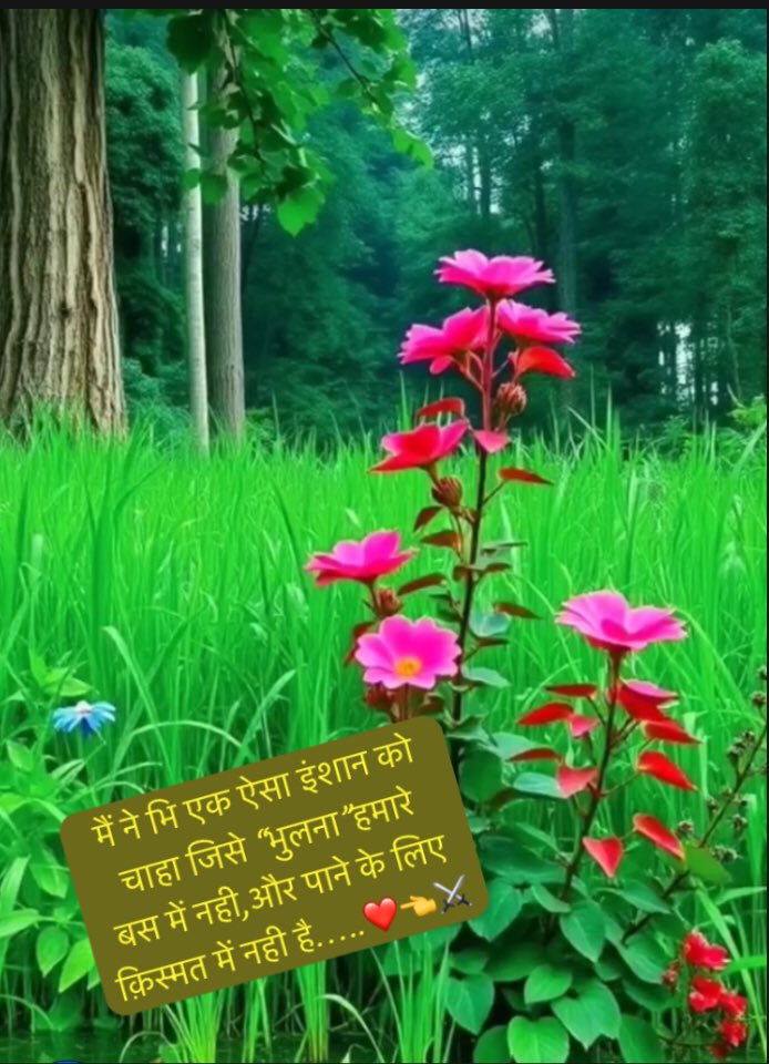 …..You are looking 
                  Class apart.

You are so adorable 🦋🤟