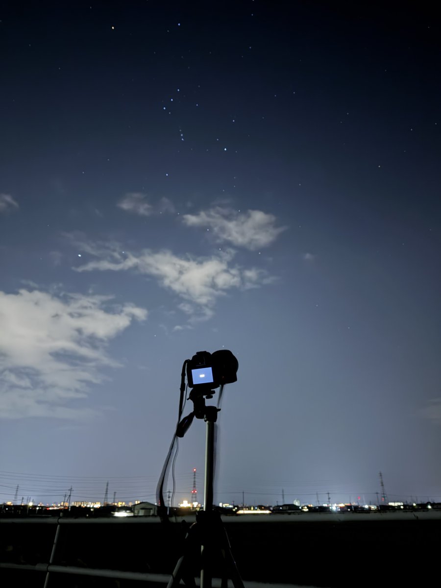 かんちゃん🍊 (@kanbowsan) / Posts / X