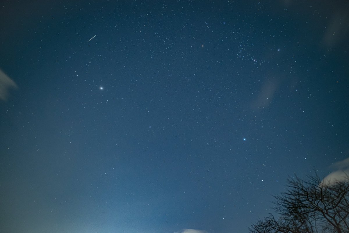 ふたご座流星群、家の近くで撮ったけど街明かりはあるわ、風は強いわで