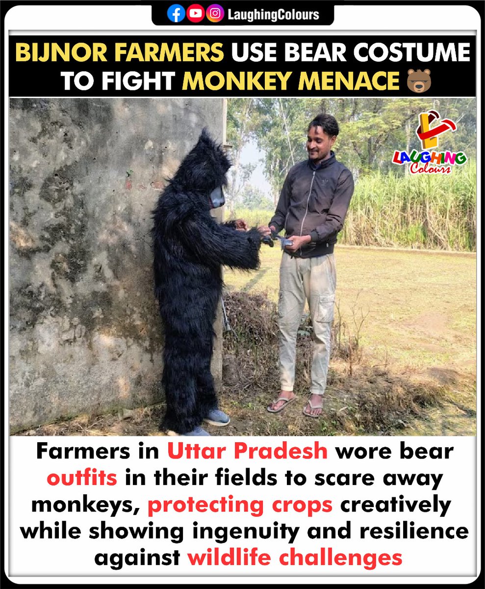 LaughingColours's tweet photo. Farmers scare monkeys smartly 🐻

#UttarPradesh #Bijnor #IndianFarmers #CreativeSolution #WildlifeIssues #RuralIndia https://t.co/mTNKY65mmO