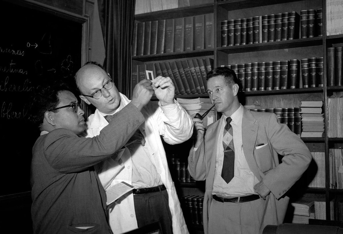 #NovedadEditorialFCU
«Ciencia y técnica en el siglo XX venezolano», obra colectiva escrita por miembros activos del gremio científico, muestra que, gracias al trabajo metódico, Venezuela pudo constituir un conjunto de instituciones dedicadas al desarrollo científico y tecnológico