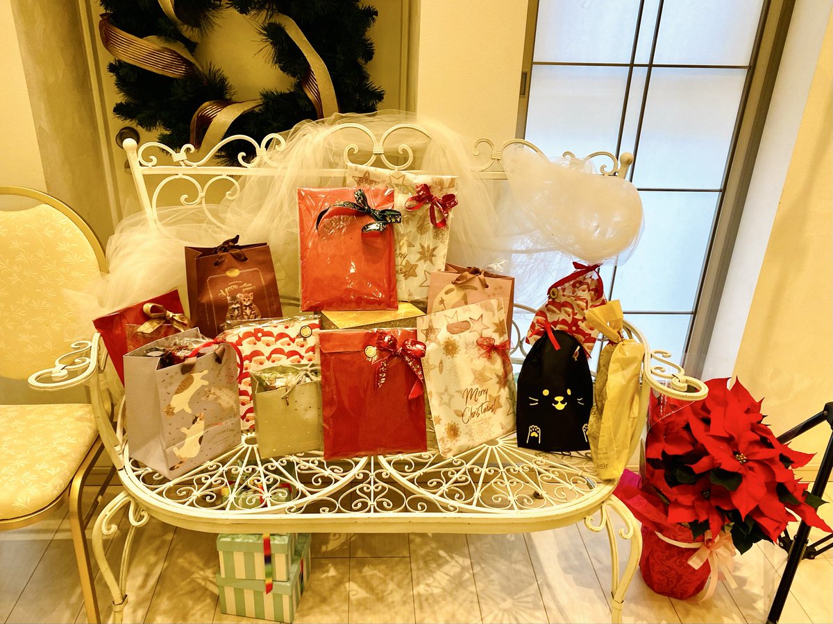 教会のクリスマスコンサートで演奏してきました🎄 ご縁があって何度か