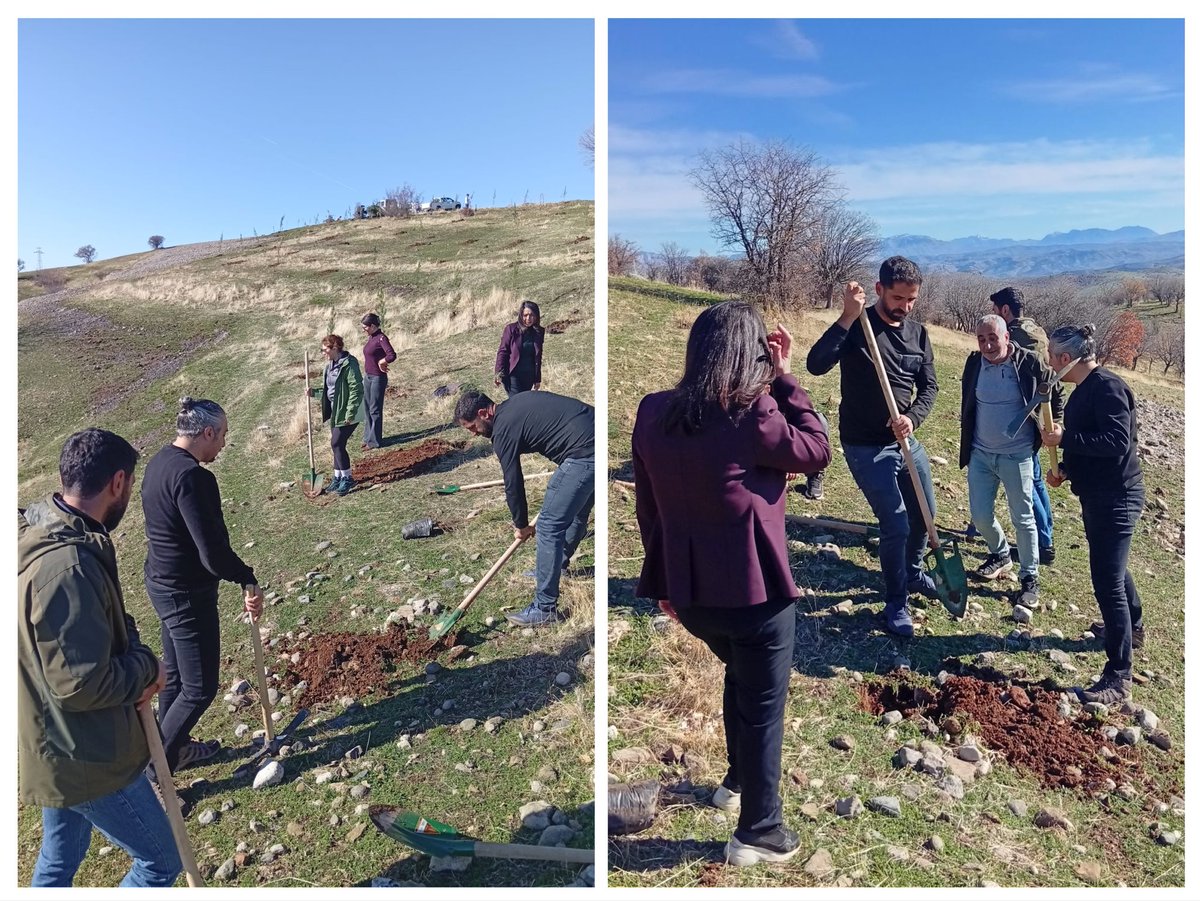 egitimsen21's tweet photo. Eğitim-Sen Kulp İlçe Temsilciliği, bölgede yaşanan doğa kırımına dikkat çekmek ve ekolojik yıkıma karşı yaşamı savunmak amacıyla bugün Kulp’un Hevêdan bölgesinde fidan dikimi ve tohum ekimi gerçekleştirdi. Doğayla uyumlu bir gelecek için yapılan bu ağaçlandırma etkinliğine sundukları katkı ve dayanışmadan dolayı Kulp Belediyesine teşekkür ederiz.