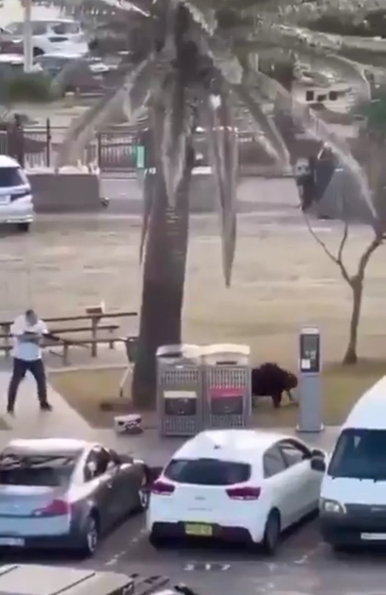 BREAKING | BONDI BEACH ATTACK

Australian outlets confirm 43-year-old Ahmed al Ahmed intervened during the Bondi Beach shooting, tackled the attacker, and disarmed him, halting further loss of life.

A Sutherland-based shop owner, Ahmed had no prior weapons training and was