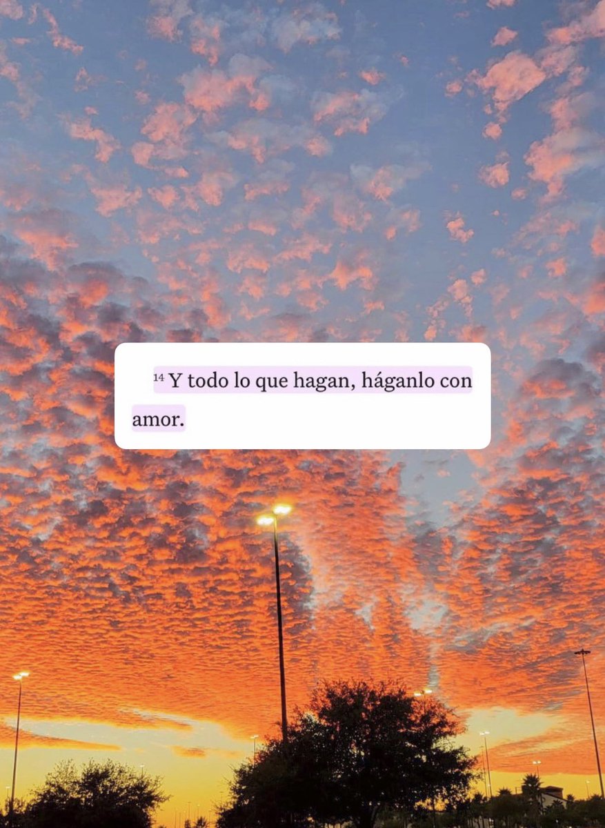 escritosrame's tweet image. 