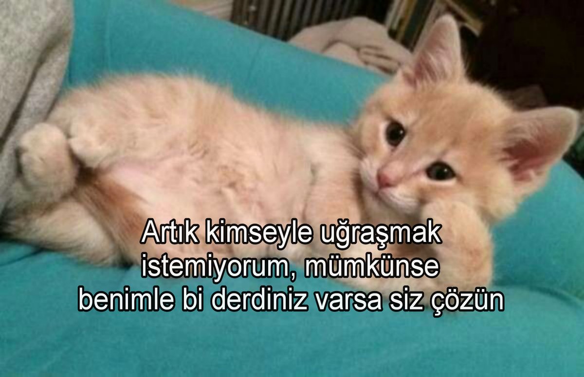 100de100mutsuz's tweet photo. https://t.co/nFdkqVaq5N
