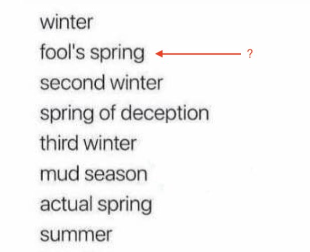 Utah Avalanche Center tweet media