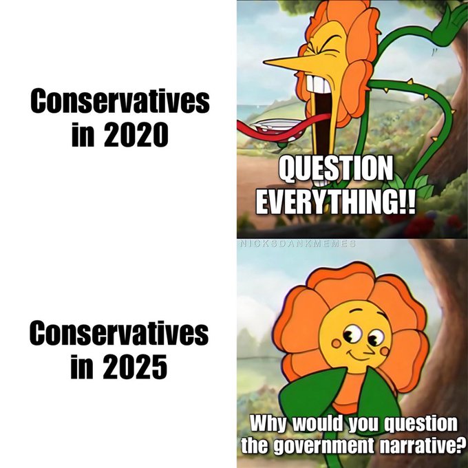 Jason Bassler tweet media