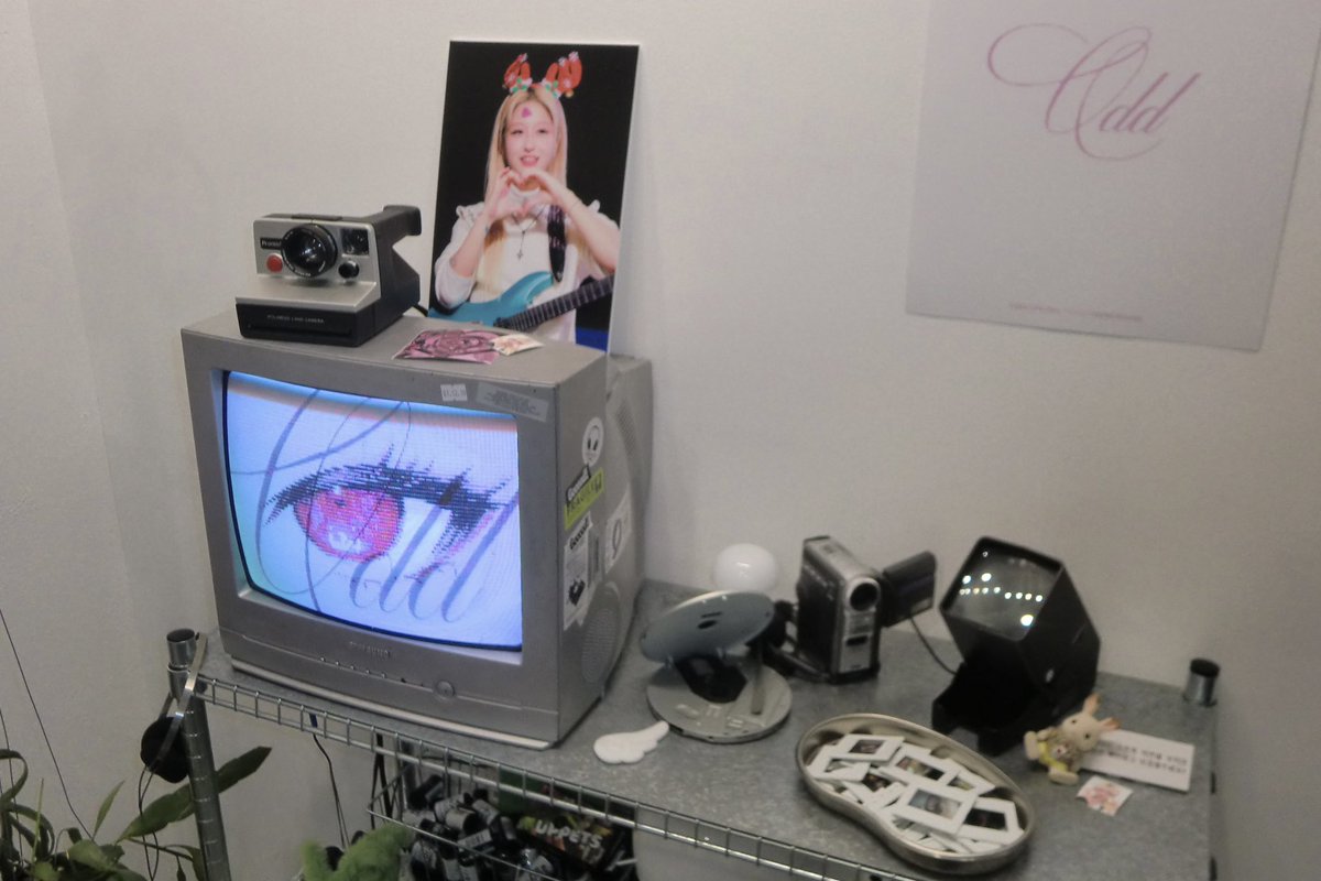 감자도리 tweet media