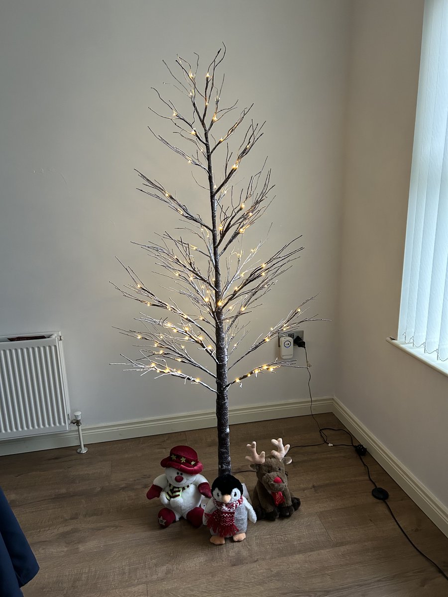 border71's tweet image. Finally got the tree up