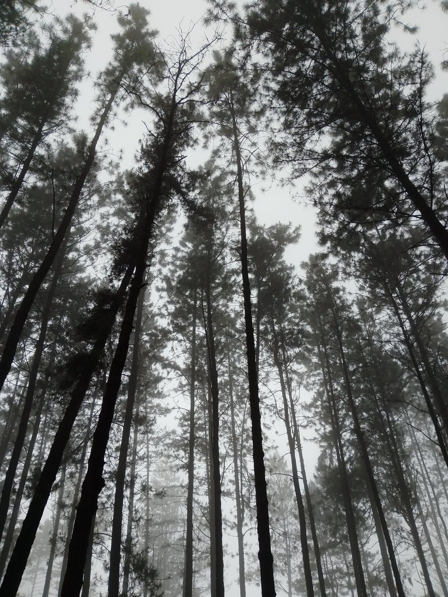 tiyanbendera's tweet photo. back to nature~ https://t.co/0wDy9DJIn8