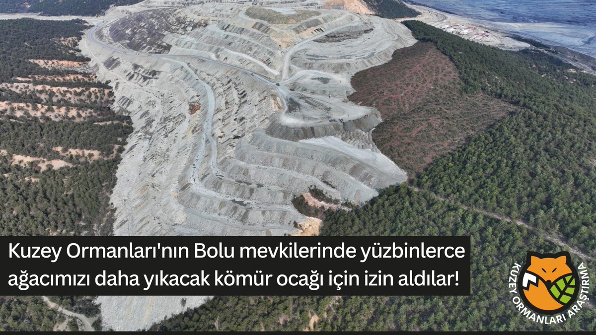 kuzeyormanlari's tweet image. Saldırı altındayız: Kuzey Ormanları'nda yüzbinlerce ağacı daha yok edecek 2 bin 400 hektarlık kömür ocağı için izin aldılar!

Bolu Göynük ilçesinde üç köyümüzü kapsayan kömür ocağını büyütmek için yapılan ÇED başvurusuna onay alındı. Projeyle alan 1631 hektardan 2 bin 384 hektara…