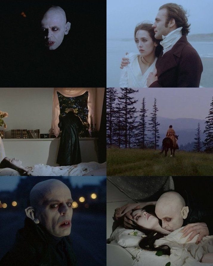 vampelixir's tweet photo. https://t.co/VlI2vbrJkl