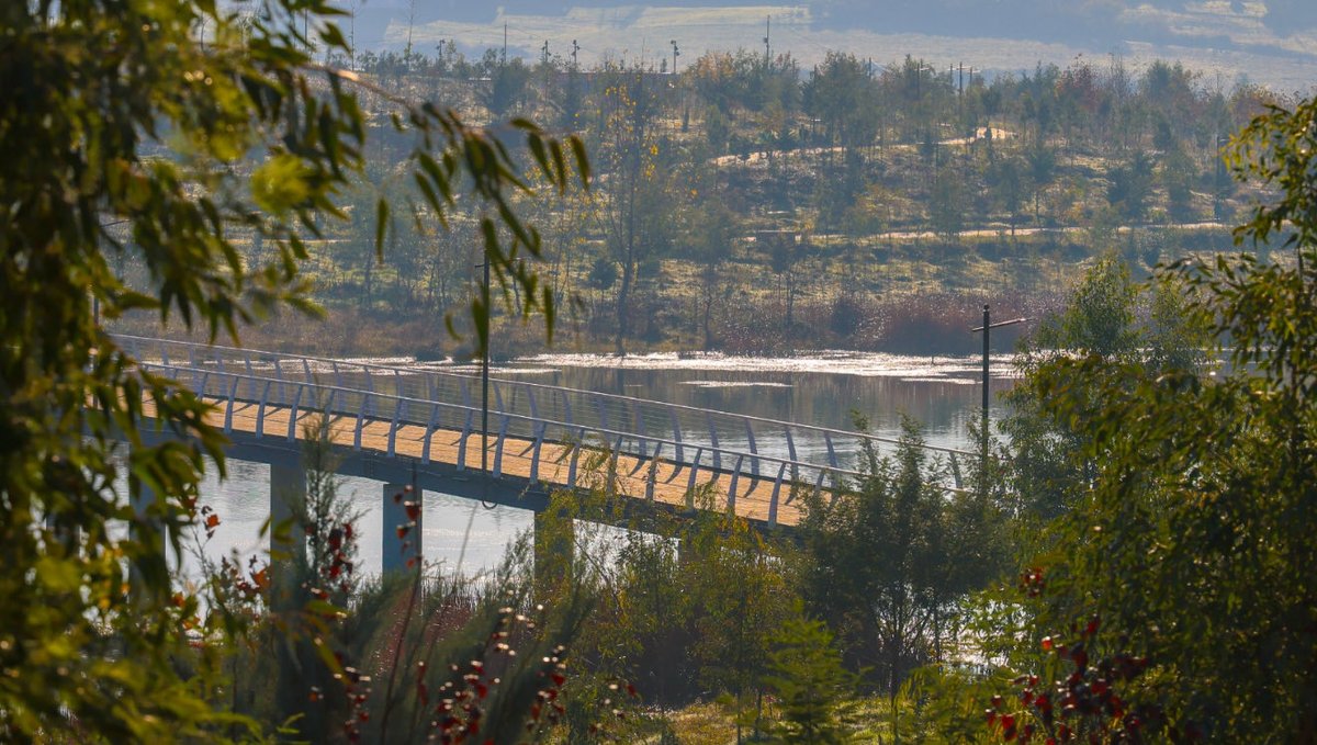 Në Kamëz📍ku modeli i punës,vizioni dhe kurajo e kryebashkiakut Rakip Suli ka çuar përpara pa u ndalur projektin modern dhe tejet të suksesshëm të Parkut të Paskuqanit🌳që sot fal mbështetjes së qytetarëve dhe bizneseve shënon mbi 7️⃣8️⃣.9️⃣0️⃣0️⃣ pemë🌳