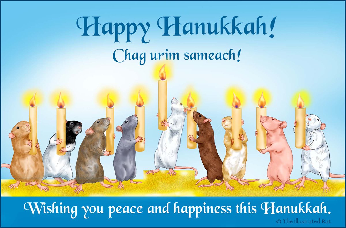 Wishing a very happy and safe Hanukkah to all my friends celebrating. #theillustratedrat