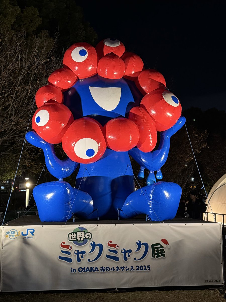 中之島のマッピングとスカイビルのクリスマスマーケット行ってきた