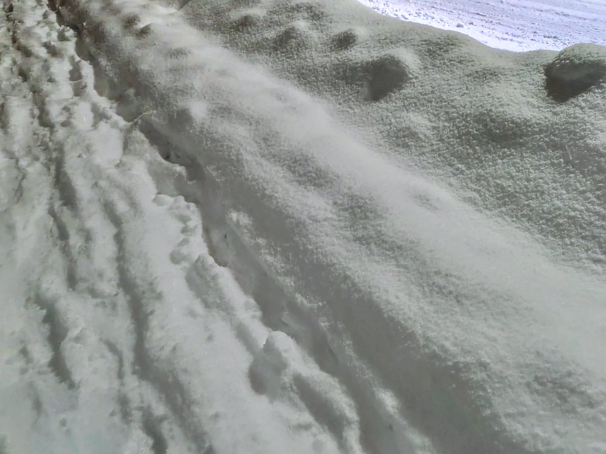 ひろりん (@hirorin823) / Posts / X