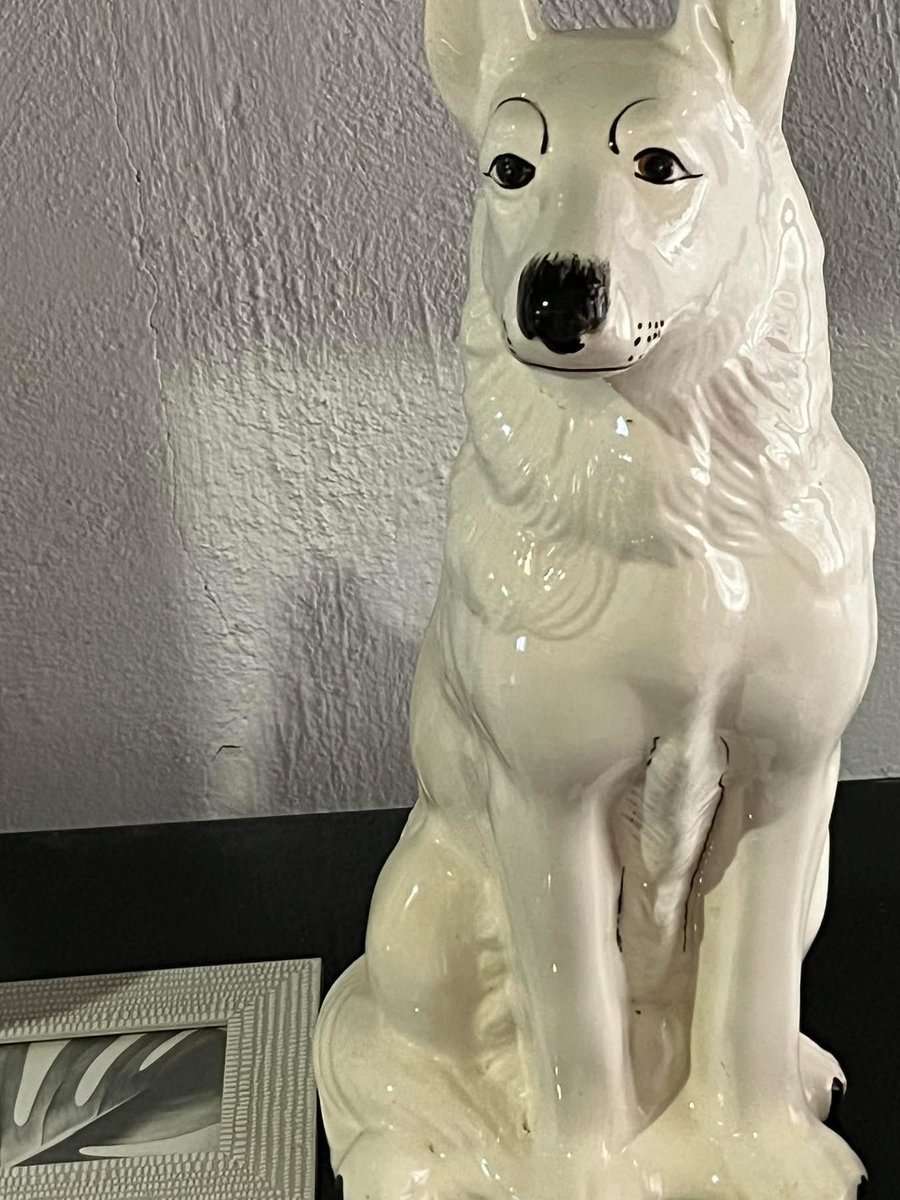 kgadi♠️ tweet media