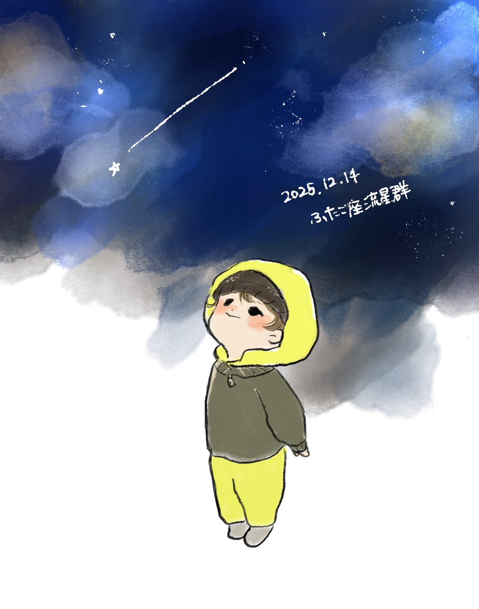 ふたご座流星群
息子の初流星群観測を覚えとかなと思ったので急いで描いておいた、可愛かった