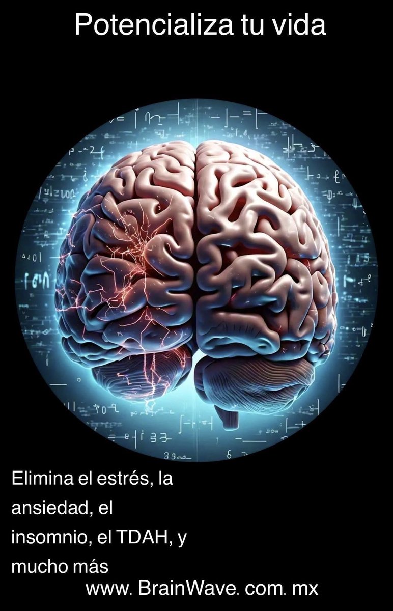 Brainwave tweet media