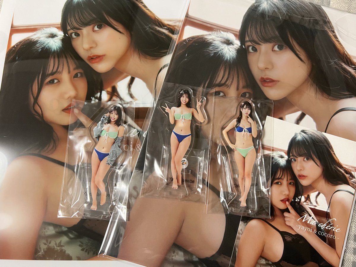 nocchi_yasukun's tweet photo. 大阪(三重経由)から帰ってきたら
こころちゃんとやよっちをお出迎え

#浅野こころ　#きょきょろ　#きょ
#浜辺やよい　#やよっち　#Bstar
#2winsbook
フォトブックオンライン

水着姿👙は健康的です https://t.co/pU9YWSuaQ2