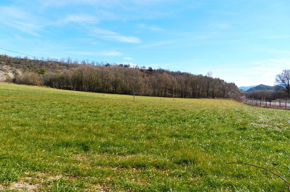 Agricultura abona ayudas de la PAC para Zonas con Limitaciones Naturales sobrarbedigital.com/agricultura-ab… a través de <a href="/SobrarbeDigital/">Sobrarbe Digital</a>