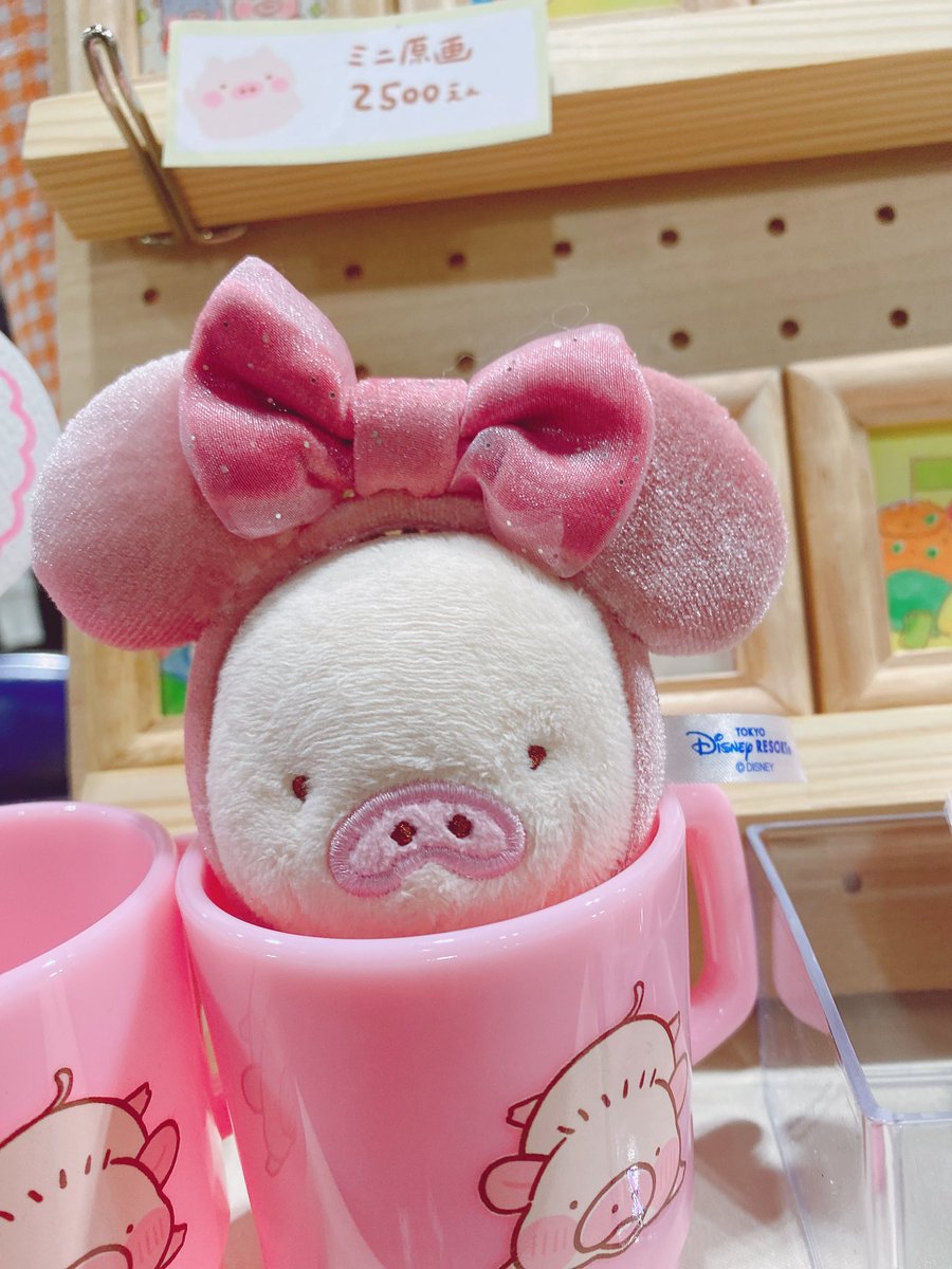 あんこ⭐️🐖 (@xuu1v8is0325) / Posts / X