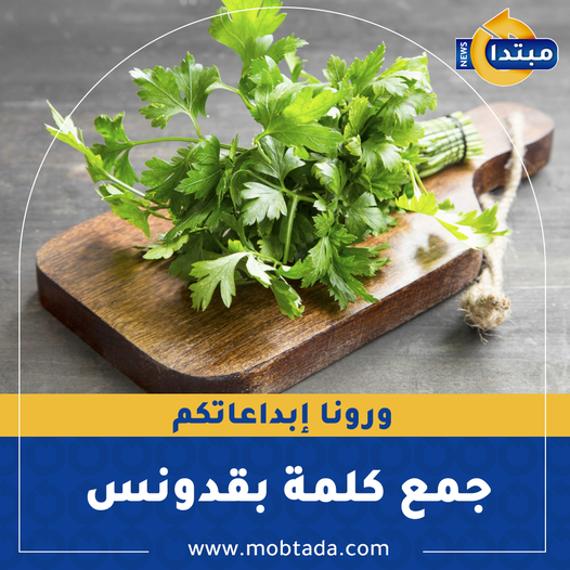 ورونا إبداعاتكم .. جمع كلمة بقدونس 