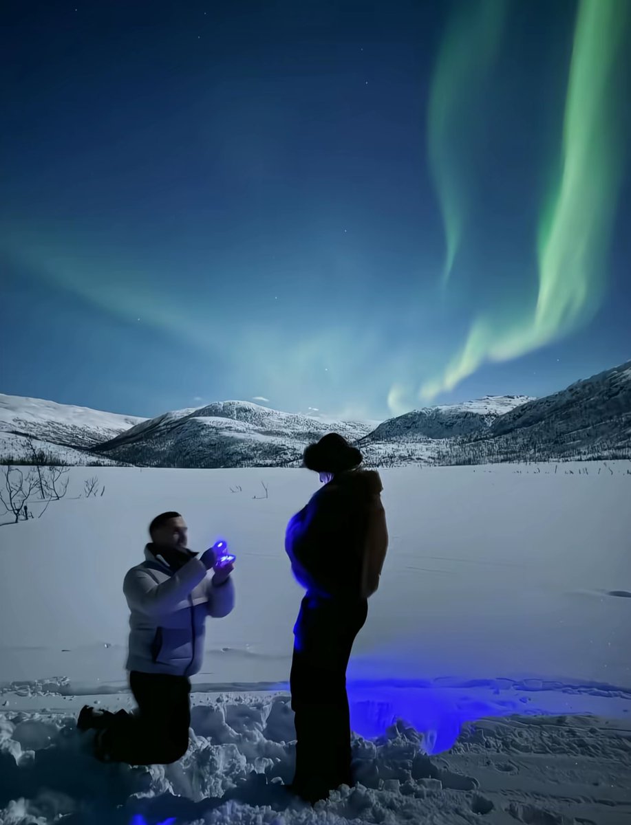 phootoo_'s tweet image. 