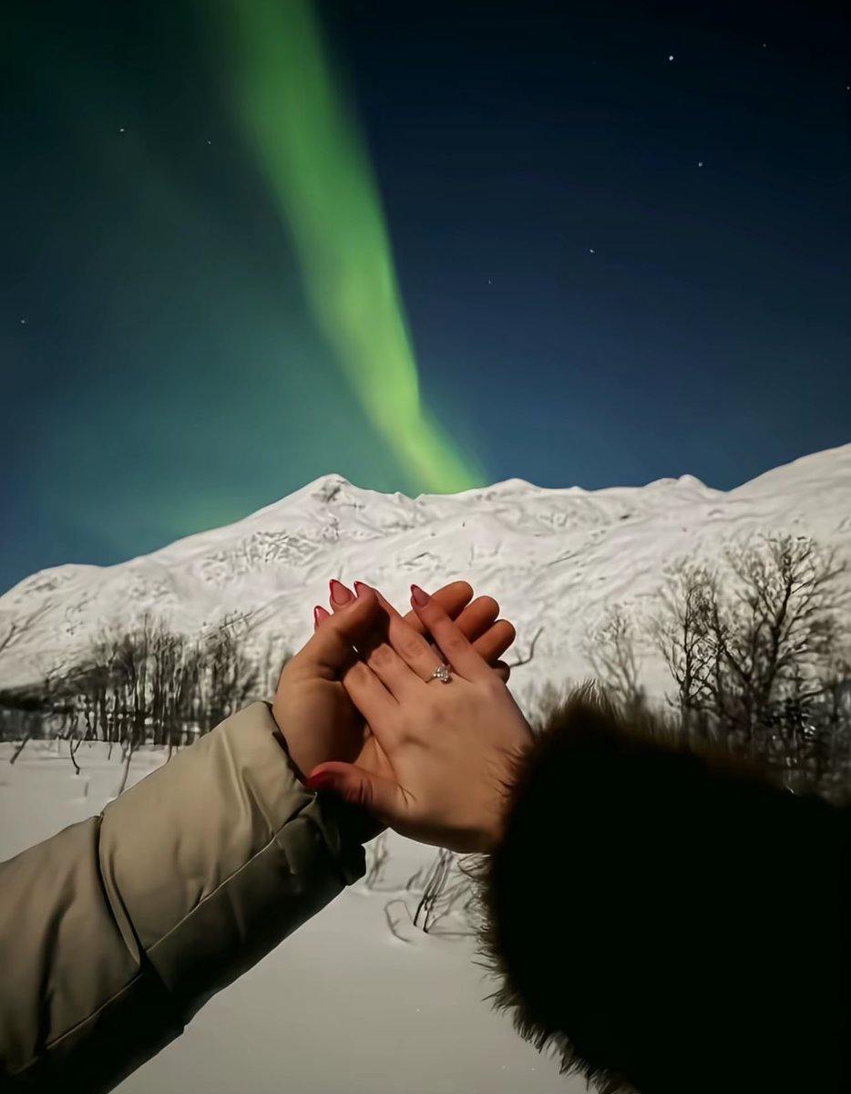 phootoo_'s tweet image. 