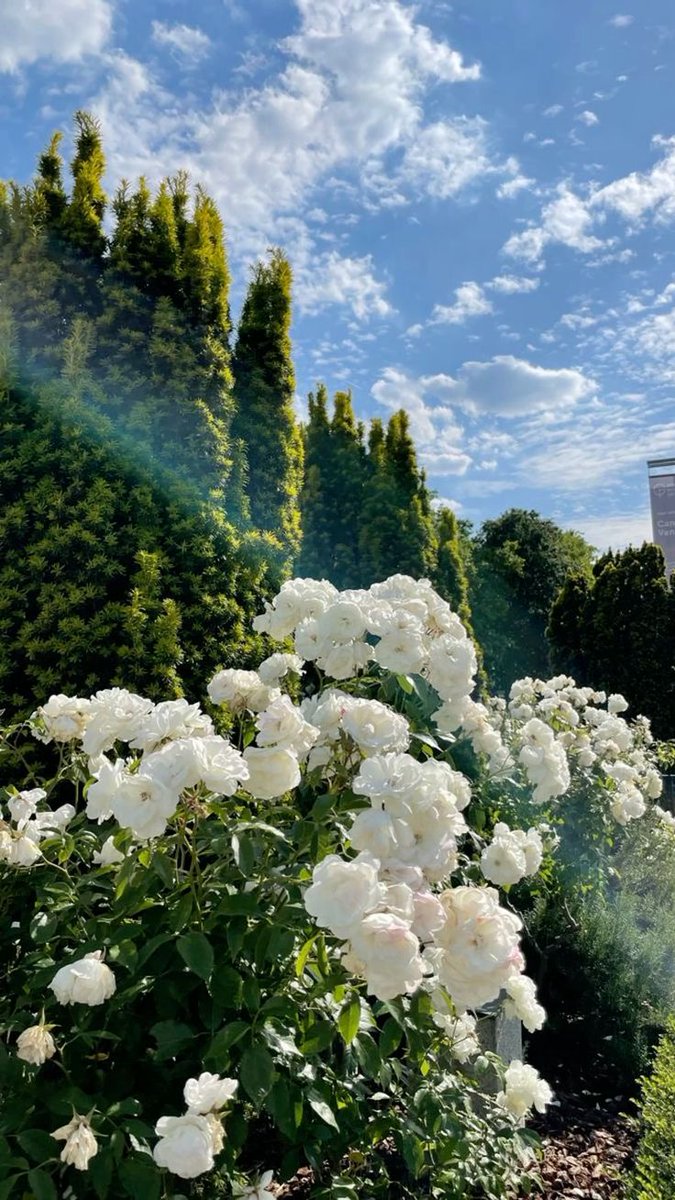 2025 (@2025pics) on Twitter photo 