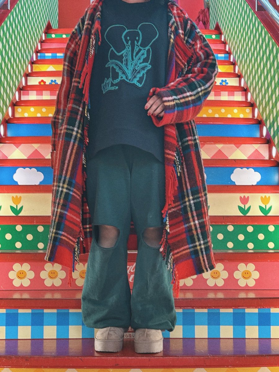 mushrainbow's tweet photo. CABaNのゾウさんかわいすぎ🎄 https://t.co/mgK2hE2pbP