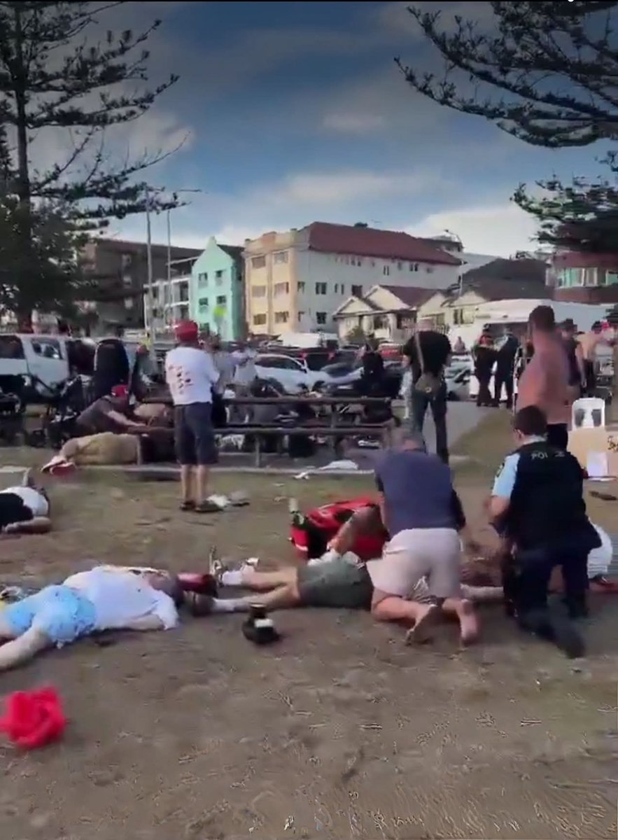 صورة ل-ضحايا الهجوم  على. شاطىء بوندي في أستراليا 
العنف يولد العنف  
العالم يتجه نحو المزيد من الخراب طالما الصهاينة يمارسون العنف وابادة الشعب الفلسطيني الاعزل