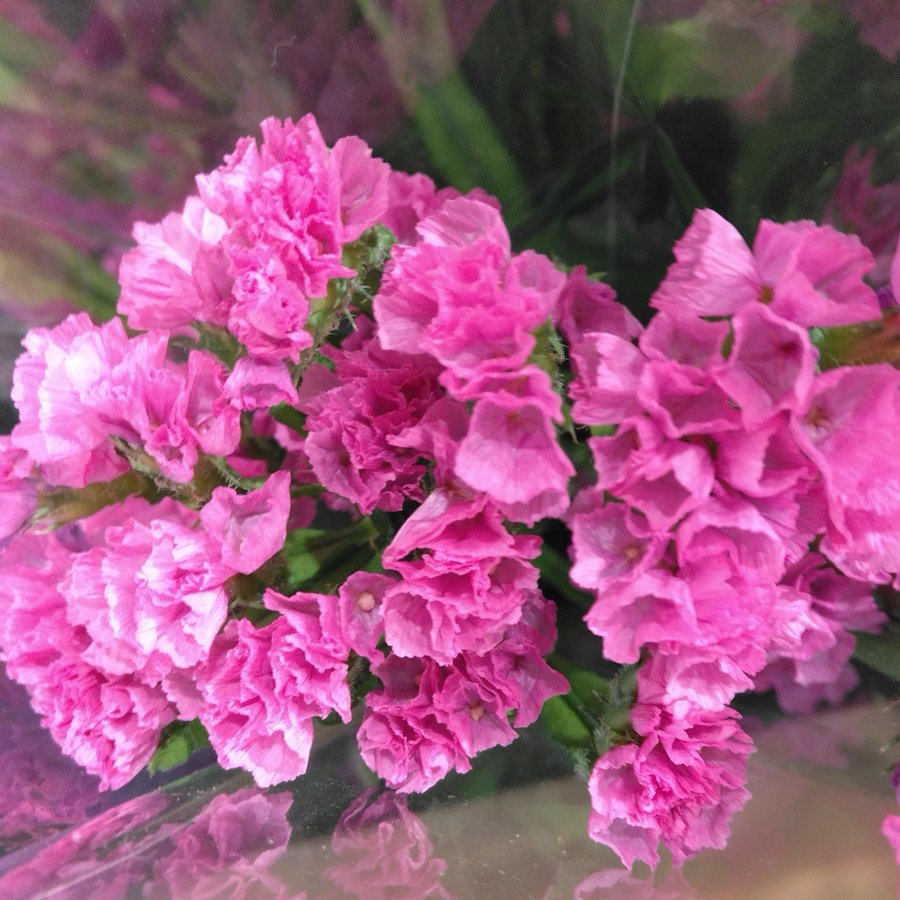 �\�[�V�����}�K�W���w�R�X���f�B�A�h�b�g�R��!!�x:�ŐV���𐏎��X�V��!!