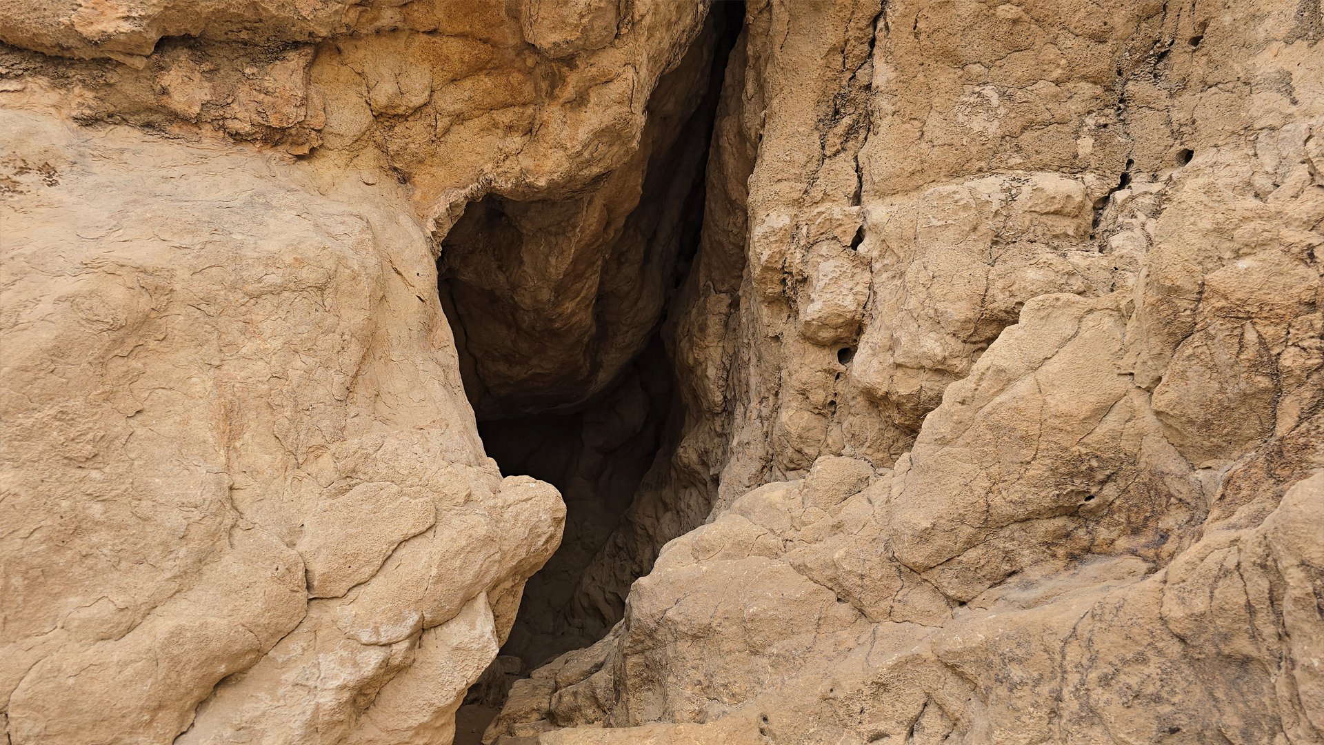 هيئة الشارقة للآثار: موقع الفاية يروي قصة الاستيطان البشري المبكر #الشارقة24 