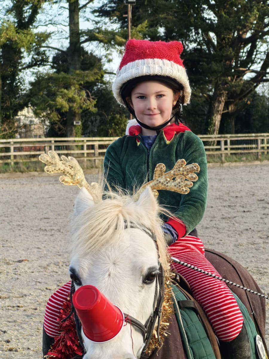 Dressage Ireland tweet media