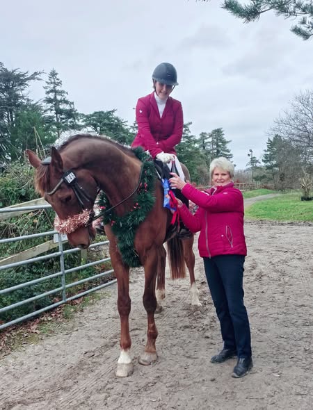 Dressage Ireland tweet media