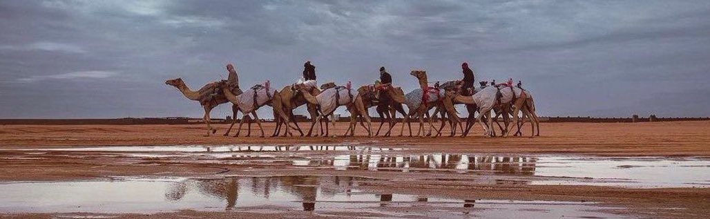 غير حب البل و حب الطيبين
خل قلبك حر لا يقاد و يساق 
      -❣️❣️🐪-