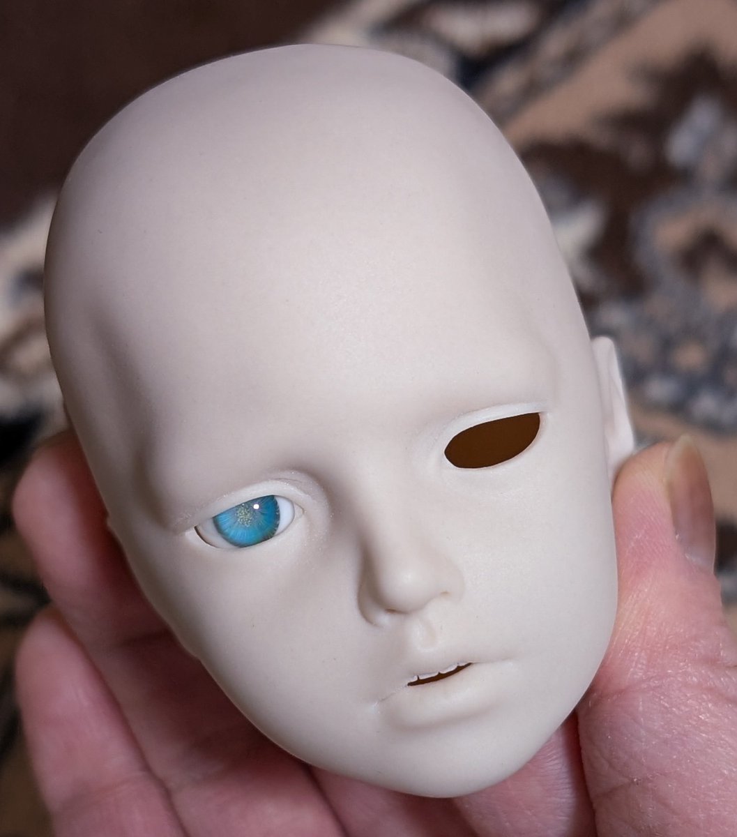 asagidoll's tweet image. アイドールの戦利品
うずまきことり様(@uzukoto)の薄紫と青緑のような2色カラー
LAPIN様(@drive__a)の格好良いグレーと神秘系
&amp;amp;Eming様(@and_eming)のミニバラ3色

似合う子は生まれてくるかな？👀
(なぜか2枚目だけ白くされて補正できず笑)