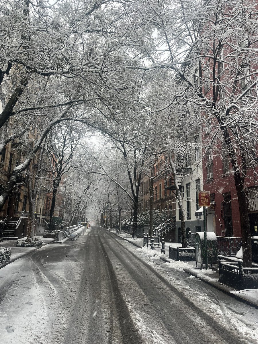 gorgeous in nyc this morning