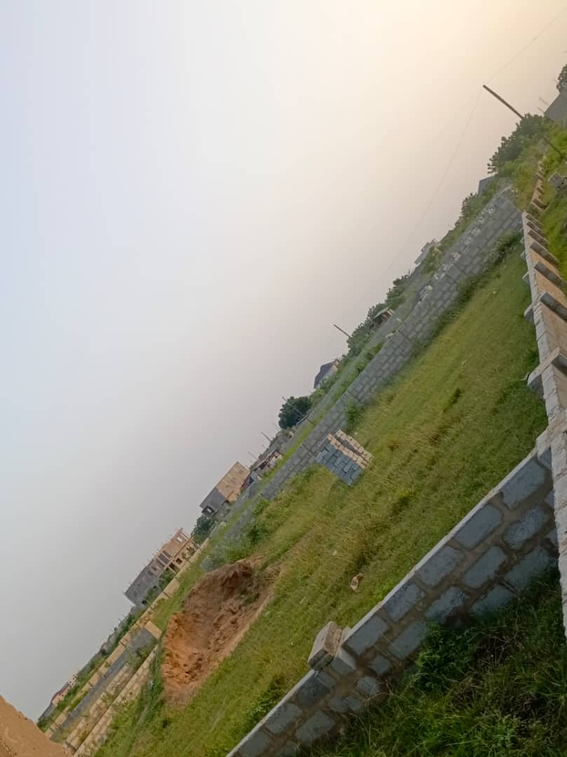 dogbey_atsu's tweet image. FOR SALE –🏡
One (1) plot of fenced wall land for sale, located at Afienya – Shai Hills.
✔️ Just 1-minute drive from the main highway
✔️ Comes with Site Plan
✔️ Indenture Documents available

Seriously buyers only. 
Contact📞  0570752470 for more details.

Dada Joe | #KalysHouse